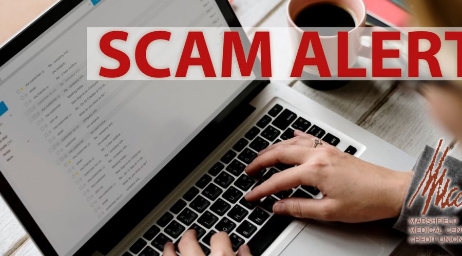 scam alert banner