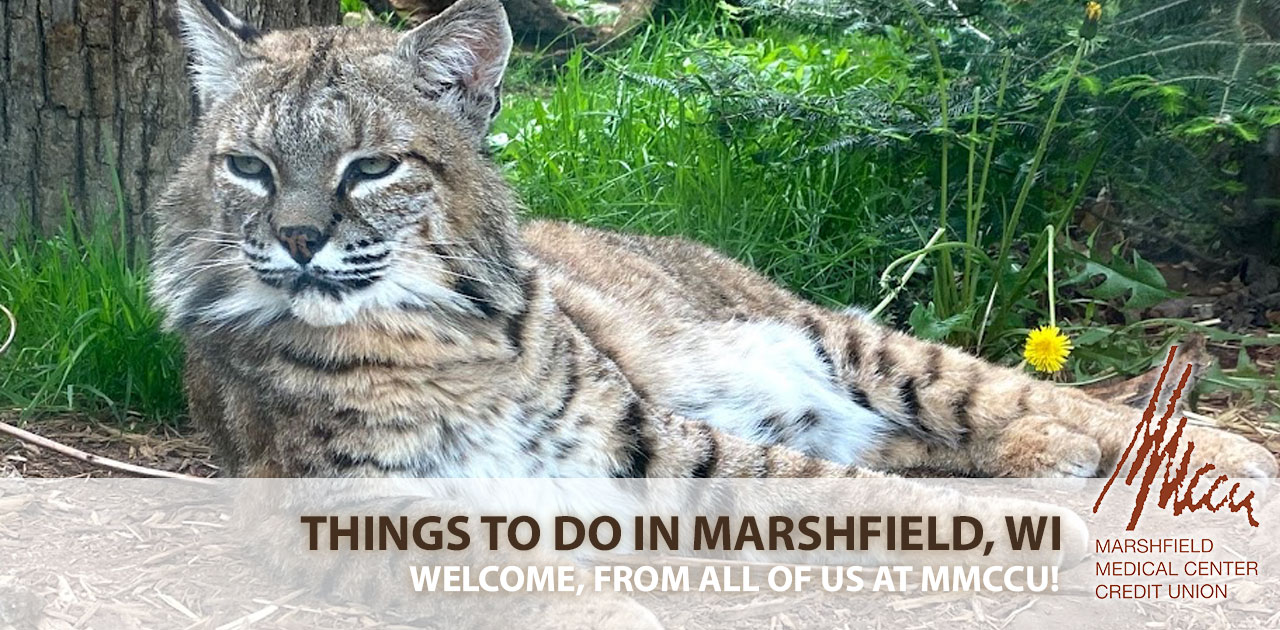 things to do in marshfield wisconsin