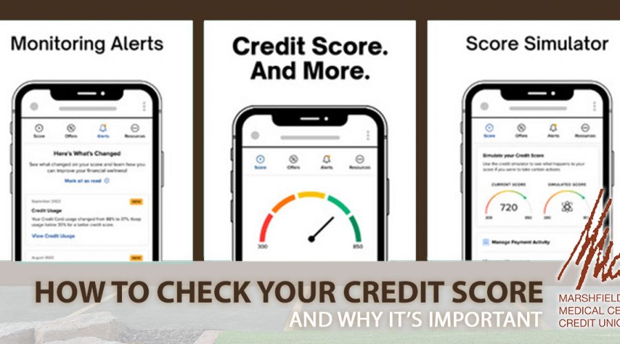 how to check your credit score