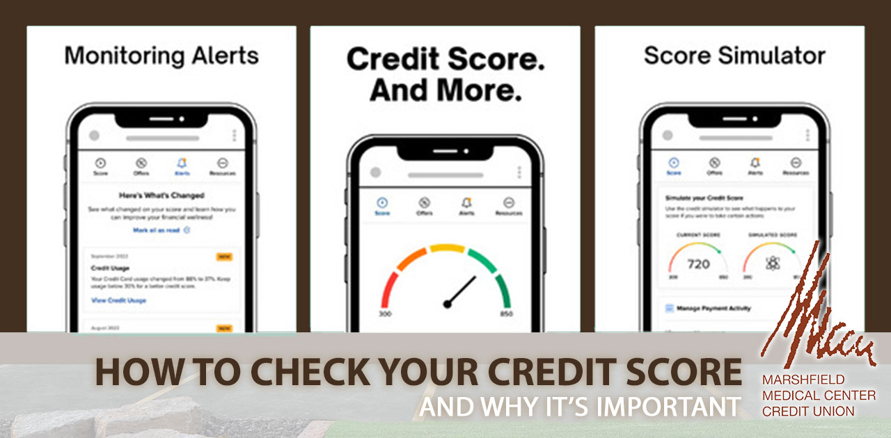 how to check your credit score