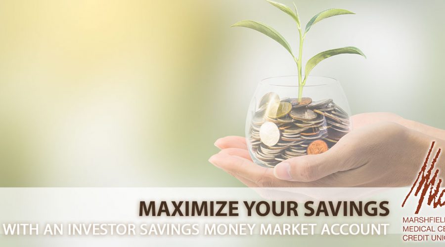 best high interest savings account