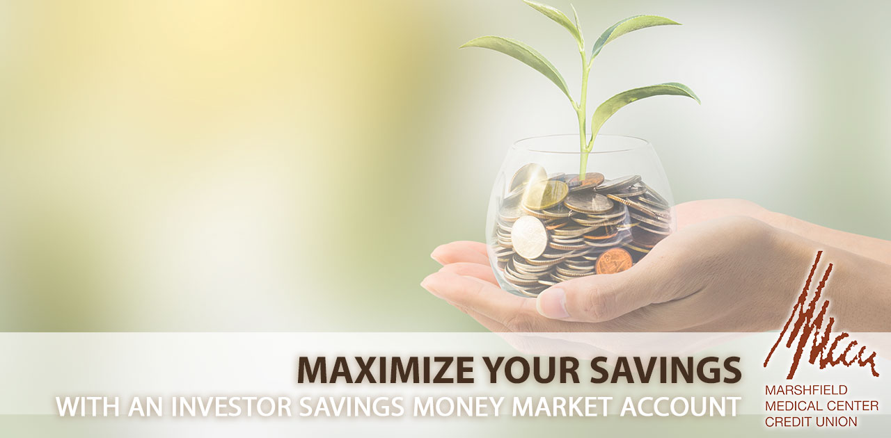 best high interest savings account