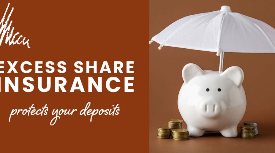 excess share insurance