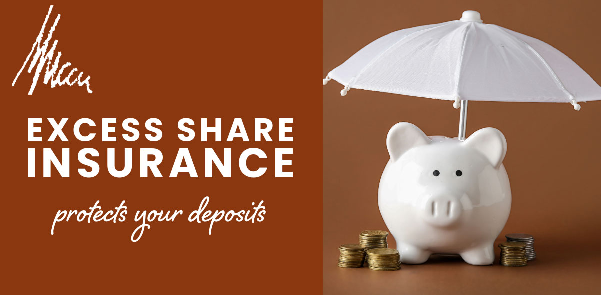 excess share insurance